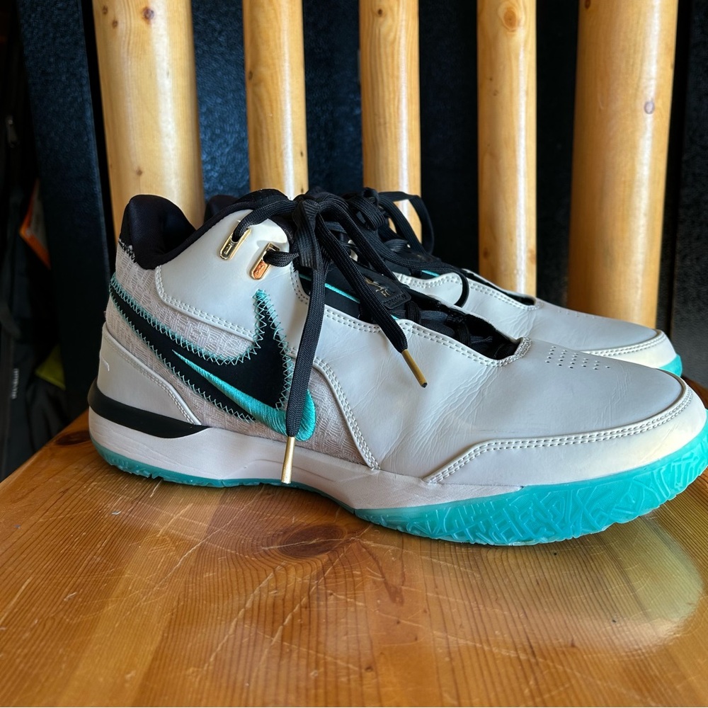LeBron NXXT Gen Nike Zoom basketball shoes
